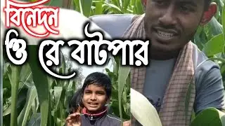 ভুট্টা_খেত_দেখতে_গিয়ে যা_হল #short #গানের_জগত