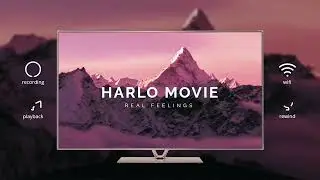 Intro