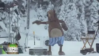 Samsung: Creating Connections - The Great Bear Adventure #funnyvideo #funnyanimal #funnybear #viral
