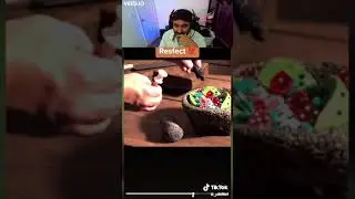 SO SATISFYING AND CREATIVE!!! (reaction video)