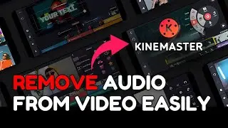 How to Remove Audio from Video in KineMaster 2025?