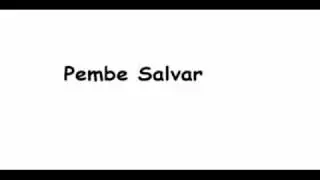 Pembe Salvar Roman Havasi