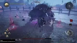 Nioh - Greater Demon Hunting NG+ (No Damage.)