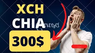 XCH CHIA по 300$? 10 иксов легчайших на рынке криптовалют