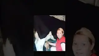 ПРОИЗВОДСТВО МОЛОКА!