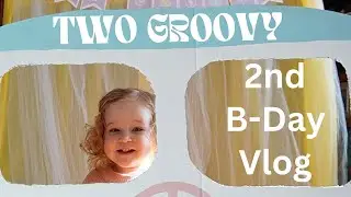 Vlog 79 | Amara's 2nd Birthday & Party