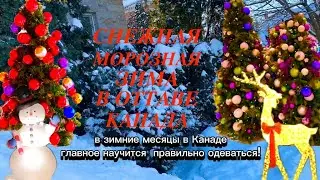Снежная Сказочная Оттава! Зима в Канаде! #короткоевидео