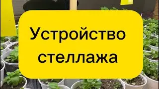 11 февраля 2024 г.