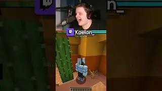 Kaelan went 7/7 in Blitz Hunt hiding 