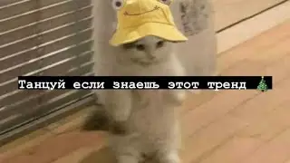 🧸Танцуй если знаешь этот тренд 🎁 Тик ток 2021 // Tik Tok trend 2021 🎄
