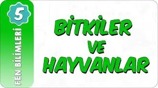 5. Sınıf Fen Bilimleri | Canlılar Dünyası: Bitkiler ve Hayvanlar