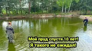 Мой пруд на участке. Рыбалка сетями. Рыбалка.