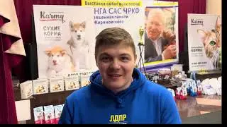Выставка собак памяти Владимира Жириновского