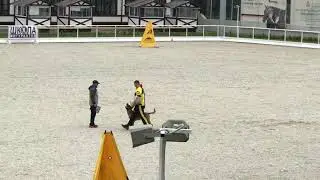 Чемпионат России по IGP Драго фом Гюнен штадт и Крохалева Ольга