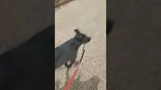 לא מאמין שזה קרה לי