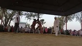 रामेश्वर पहलवान हाथरस Vs हरेन्द्र पहलवान रसूलपुर गाजीपुर कुश्ती दंगल