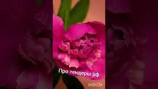 25 июля 2023 г.