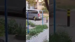 Добровольная мобилизация на украине продолжается.