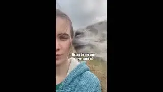 Awesome and Cute Animal Videos! #10