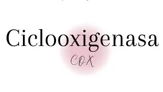Ciclooxigenasa | COX - 1 y COX - 2