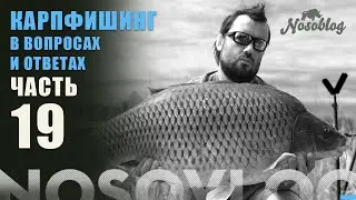 Карпфишинг в вопросах и ответах, А. Колесников, выпуск 19