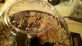 West Bend Popcorn Popper Stir Crazy