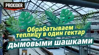 Обработка теплицы в один гектар дымовыми шашками от насекомых, вирусов, плесени и бактерий