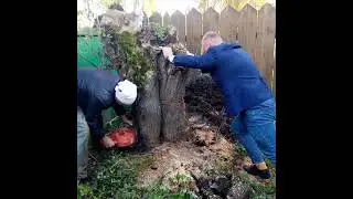 чистый двор