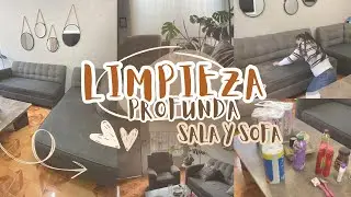 POR FIN!!! LAVE MIS SILLONES 😓 LIMPIEZA DE MI SALA PEQUEÑA INFONAVIT