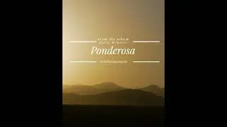 'Ponderosa' Lyric Video by Stellar Jays from the album Early Winters