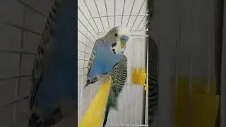 Как не лайкнуть этих милашек ❤️❤️❤️⬅️⬅️❤️❤️.