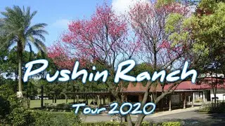 Pushin Ranch | Tour 2020 Cinematic | Pasyalan sa Taiwan | Asus Rog 2