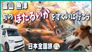 【春の風物詩】リベンジ！ほたるいか掬いをしに富山までビューン#ホタルイカ#富山#魚津補助港#アレンHLE#キャンピングカー#車中泊