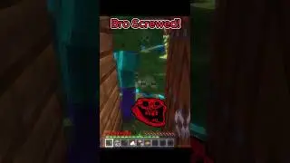 Why Were There So Many Zombies!