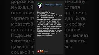 Брошенная собака 