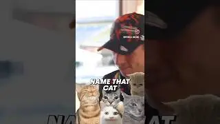Who knew Max Verstappen Had This Weird Knowledge About Cats 😂 
