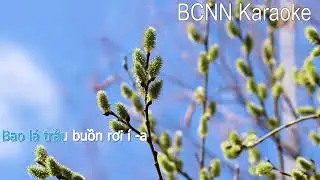 [KARAOKE] CHỊ TÔI | CHỊ TÔI REMIX | Junmine