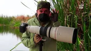 ¿Cómo fotografiar la naturaleza de Pantanos de Villa?