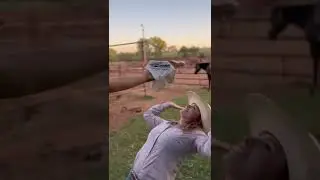 Don't avoid an important FLAIR® Strips step...