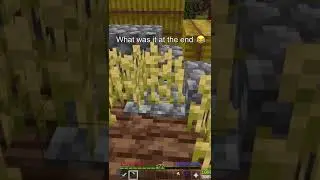 Cursed Minecraft Moment 😂