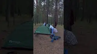 Высыпаюсь только в лесу палатке