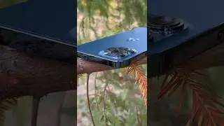 Стоит ли брать IPhone 12 Pro Max в 2024 году? #айфон #smartphone #телефон #хочуврек