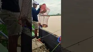 Câu cá tự nhiên 