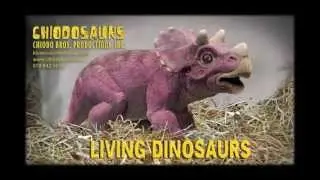 Lily the Parasaurolophus