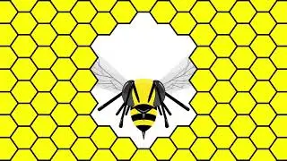 Bee Animation | Adobe After Effect