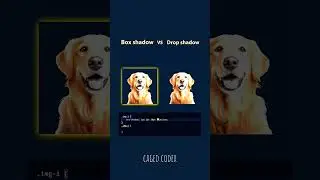box shadow and drop shadow in css #webdevelopment #html #css #htmlcss #cssproperty #webdesign