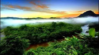 Tropical Rainforest Climate (with interactive video comprehension activity)