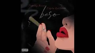 BESO xxx Johnny Keis ft Jupön Gattana xxx SEX&DRUGS