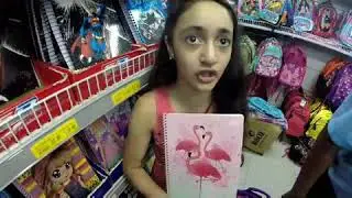 Meu material escolar 2020-Isa & Aventuras
