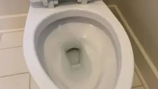 Toto Drake toilet bowl won't fill completely? Here's an easy fix...